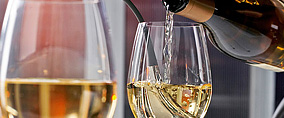 wine_sp